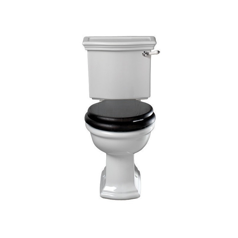 Bergier toilet med fast cisterne