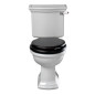Bergier toilet med fast cisterne