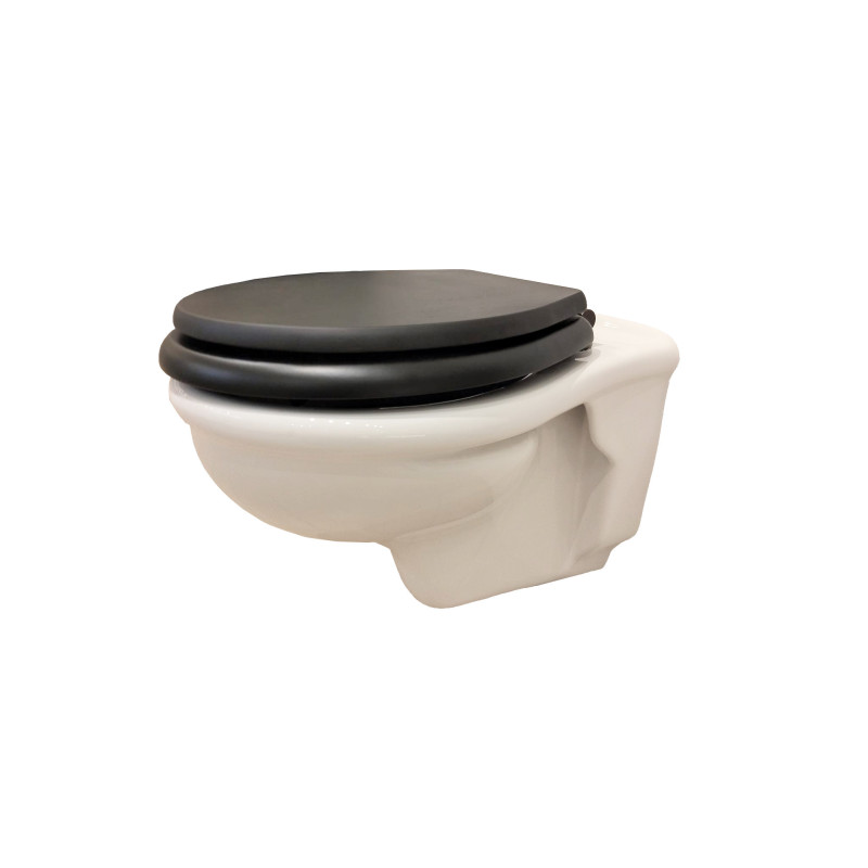 Venice Væghængt toilet til indbygget cisterne Venice Væghængt toilet til indbygget cisterne