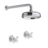 Faucets in solid brass - 6021 Waterspring  wall mount shower